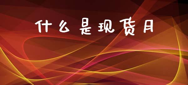 什么是现货月_https://wap.hpmsj.cn_债券投资_第1张