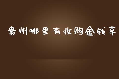 贵州哪里有收购金钱草_https://wap.hpmsj.cn_财经时评_第1张