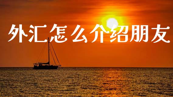 外汇怎么介绍朋友_https://wap.hpmsj.cn_债券投资_第1张