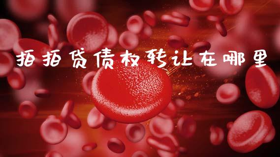 拍拍贷债权转让在哪里_https://wap.hpmsj.cn_期货交易_第1张