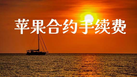 苹果合约手续费_https://wap.hpmsj.cn_外汇汇率_第1张