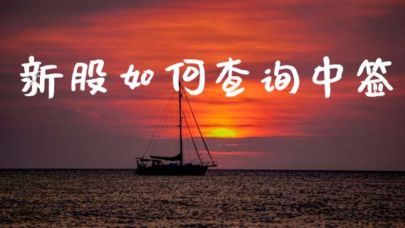 新股如何查询中签_https://wap.hpmsj.cn_期货交易_第1张