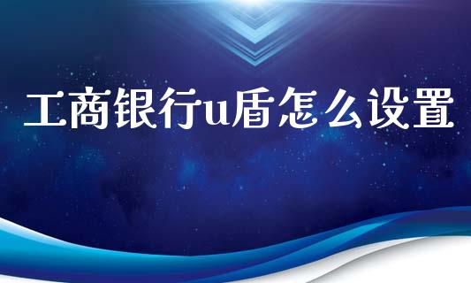 工商银行u盾怎么设置_https://wap.hpmsj.cn_期货交易_第1张