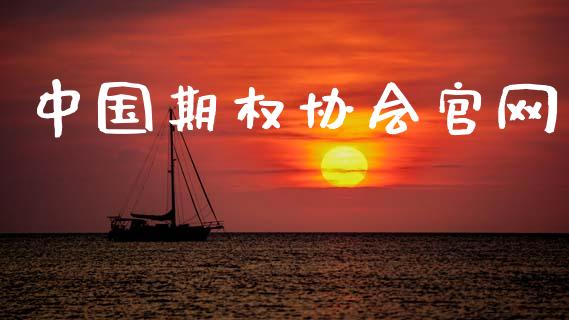 中国期权协会官网_https://wap.hpmsj.cn_外汇汇率_第1张
