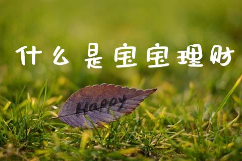 什么是宝宝理财_https://wap.hpmsj.cn_债券投资_第1张