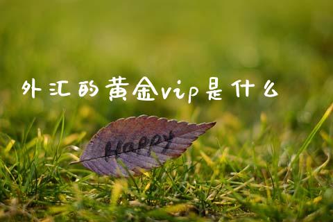 外汇的黄金vip是什么_https://wap.hpmsj.cn_期货交易_第1张