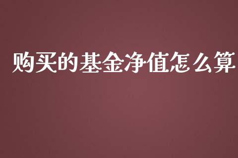 购买的基金净值怎么算_https://wap.hpmsj.cn_财经时评_第1张