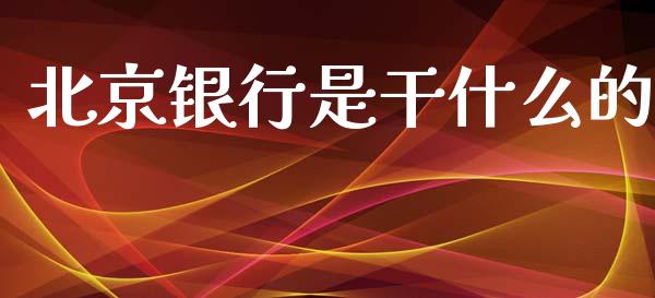 北京银行是干什么的_https://wap.hpmsj.cn_基金分析_第1张