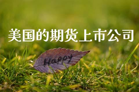 美国的期货上市公司_https://wap.hpmsj.cn_财经时评_第1张