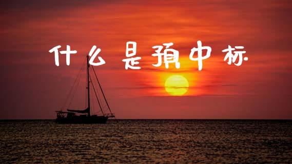 什么是预中标_https://wap.hpmsj.cn_债券投资_第1张