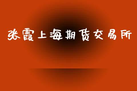 张霞上海期货交易所_https://wap.hpmsj.cn_金融机构_第1张