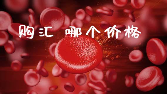 购汇 哪个价格_https://wap.hpmsj.cn_期货交易_第1张