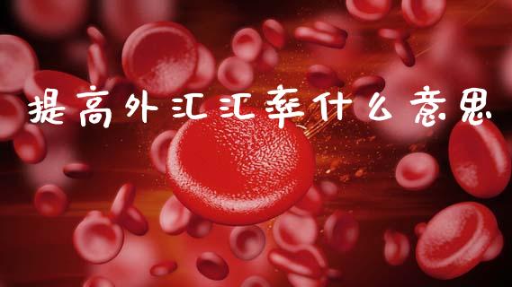提高外汇汇率什么意思_https://wap.hpmsj.cn_外汇汇率_第1张