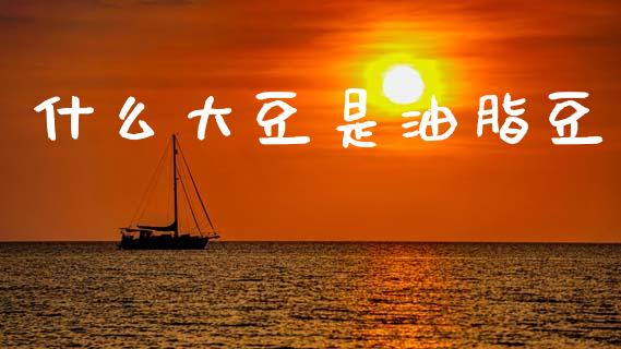什么大豆是油脂豆_https://wap.hpmsj.cn_期货交易_第1张