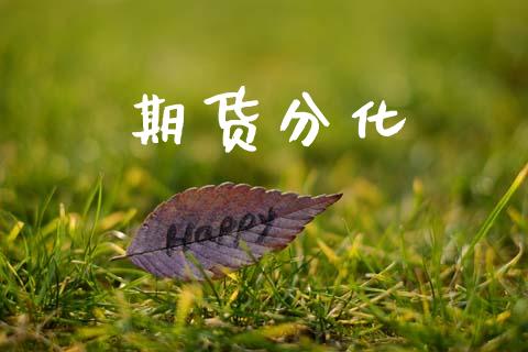 期货分化_https://wap.hpmsj.cn_外汇汇率_第1张
