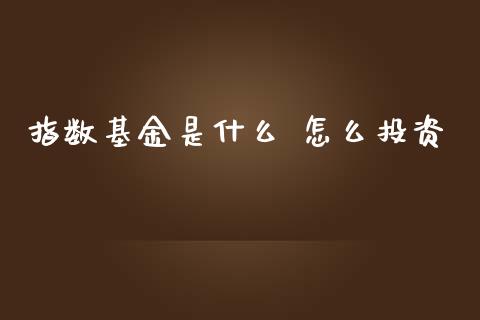 指数基金是什么 怎么投资_https://wap.hpmsj.cn_财经时评_第1张