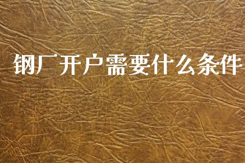 钢厂开户需要什么条件_https://wap.hpmsj.cn_外汇汇率_第1张