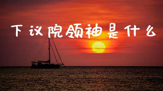 下议院领袖是什么_https://wap.hpmsj.cn_债券投资_第1张