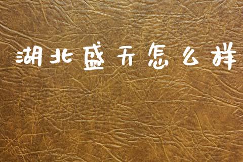 湖北盛天怎么样_https://wap.hpmsj.cn_外汇汇率_第1张