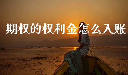 期权的权利金怎么入账_https://wap.hpmsj.cn_外汇汇率_第1张