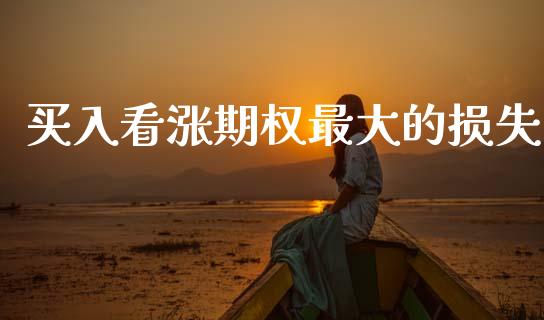 买入看涨期权最大的损失_https://wap.hpmsj.cn_金融机构_第1张