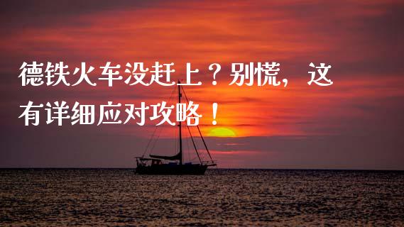 德铁火车没赶上？别慌，这有详细应对攻略！_https://wap.hpmsj.cn_外汇汇率_第1张