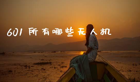 601 所有哪些无人机_https://wap.hpmsj.cn_财经时评_第1张