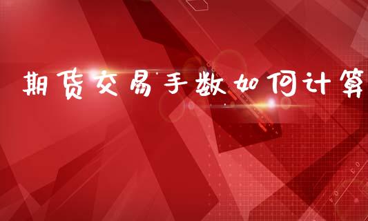 期货交易手数如何计算_https://wap.hpmsj.cn_外汇汇率_第1张