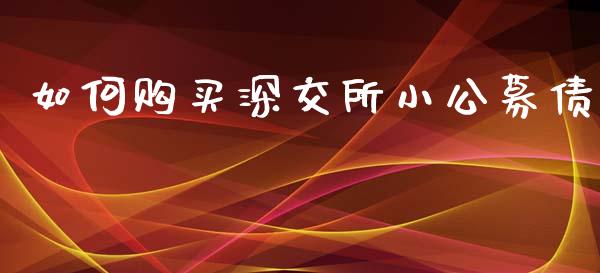 如何购买深交所小公募债_https://wap.hpmsj.cn_债券投资_第1张