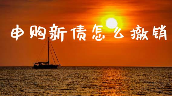 申购新债怎么撤销_https://wap.hpmsj.cn_财经时评_第1张
