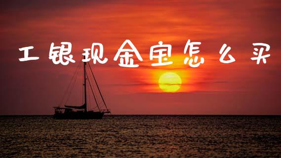 工银现金宝怎么买_https://wap.hpmsj.cn_财经时评_第1张