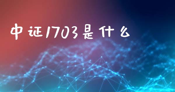 中证1703是什么_https://wap.hpmsj.cn_期货交易_第1张