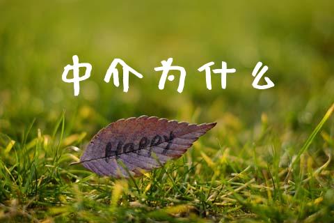 中介为什么_https://wap.hpmsj.cn_债券投资_第1张