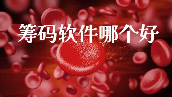 筹码软件哪个好_https://wap.hpmsj.cn_基金分析_第1张