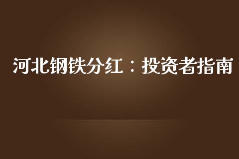 河北钢铁分红：投资者指南_https://wap.hpmsj.cn_期货交易_第1张