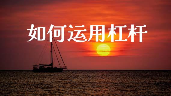 如何运用杠杆_https://wap.hpmsj.cn_外汇汇率_第1张