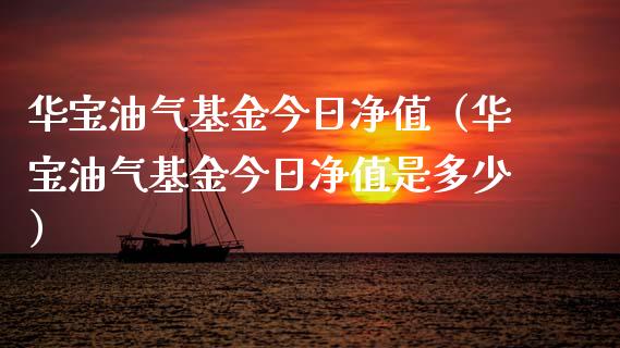 华宝油气基金今日净值（华宝油气基金今日净值是多少）_https://wap.hpmsj.cn_基金分析_第1张