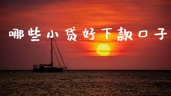 哪些小贷好下款口子_https://wap.hpmsj.cn_金融机构_第1张