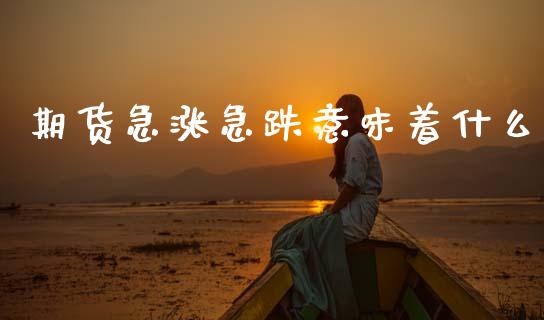 期货急涨急跌意味着什么_https://wap.hpmsj.cn_期货交易_第1张