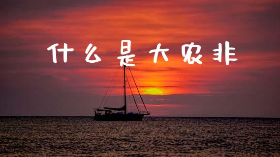 什么是大农非_https://wap.hpmsj.cn_基金分析_第1张