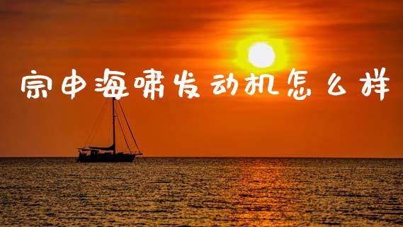 宗申海啸发动机怎么样_https://wap.hpmsj.cn_金融机构_第1张
