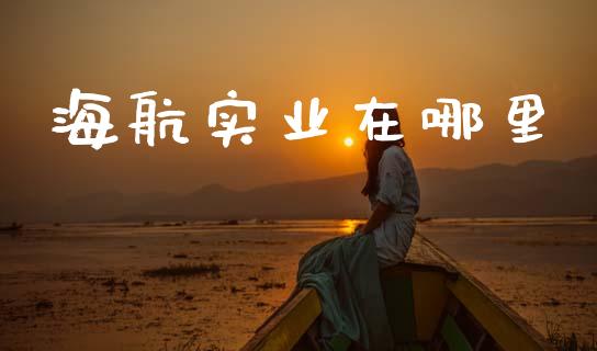 海航实业在哪里_https://wap.hpmsj.cn_金融机构_第1张