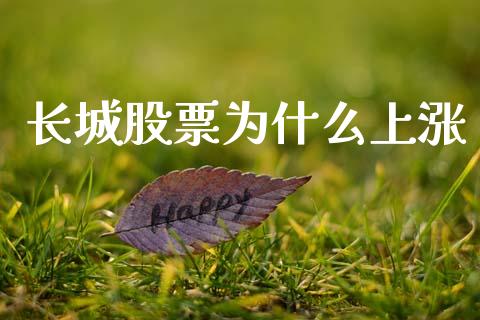 长城股票为什么上涨_https://wap.hpmsj.cn_基金分析_第1张