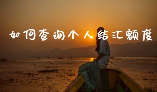 如何查询个人结汇额度_https://wap.hpmsj.cn_债券投资_第1张