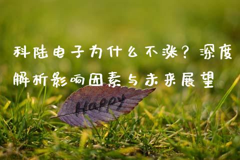 科陆电子为什么不涨？深度解析影响因素与未来展望_https://wap.hpmsj.cn_金融机构_第1张