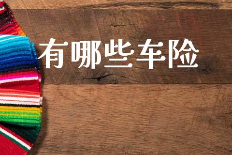 有哪些车险_https://wap.hpmsj.cn_金融机构_第1张