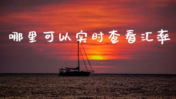 哪里可以实时查看汇率_https://wap.hpmsj.cn_期货交易_第1张