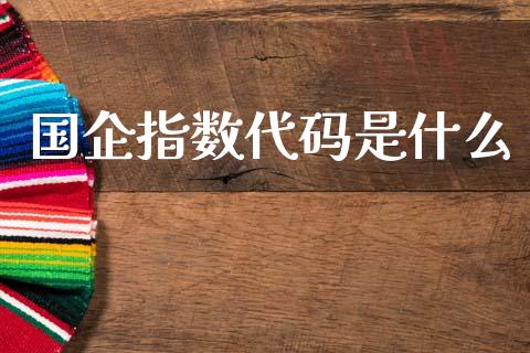 国企指数代码是什么_https://wap.hpmsj.cn_外汇汇率_第1张