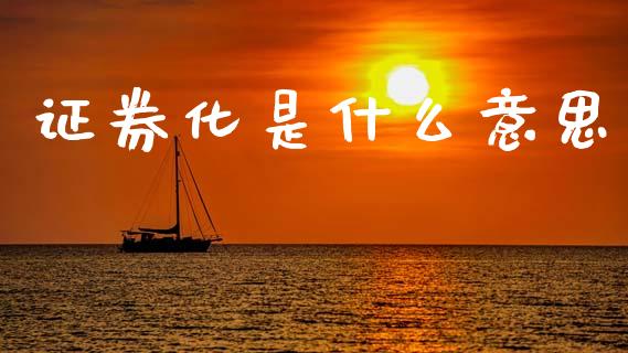 证券化是什么意思_https://wap.hpmsj.cn_债券投资_第1张