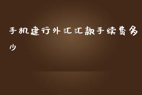 手机建行外汇汇款手续费多少_https://wap.hpmsj.cn_期货交易_第1张